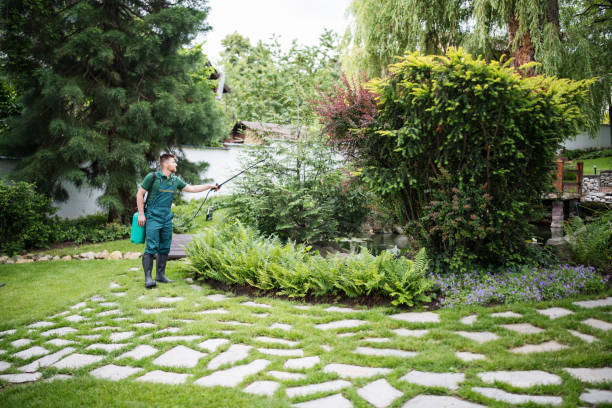 Best Best Pest Control Companies  in Rmel By The Sea, CA
