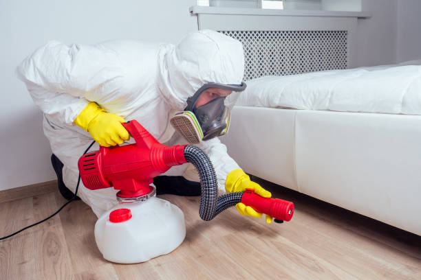 Trusted Carmel By The Sea, CA Pest Control Experts