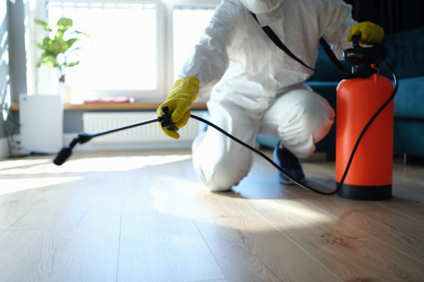 Best Pest Prevention Services  in Rmel By The Sea, CA