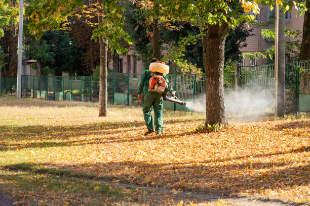 Best Flea Control Services  in Rmel By The Sea, CA